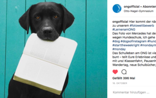 Fotowettbewerb2017_Platz1