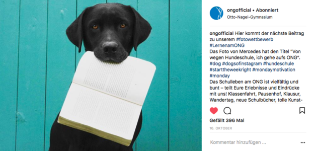 Fotowettbewerb2017_Platz1