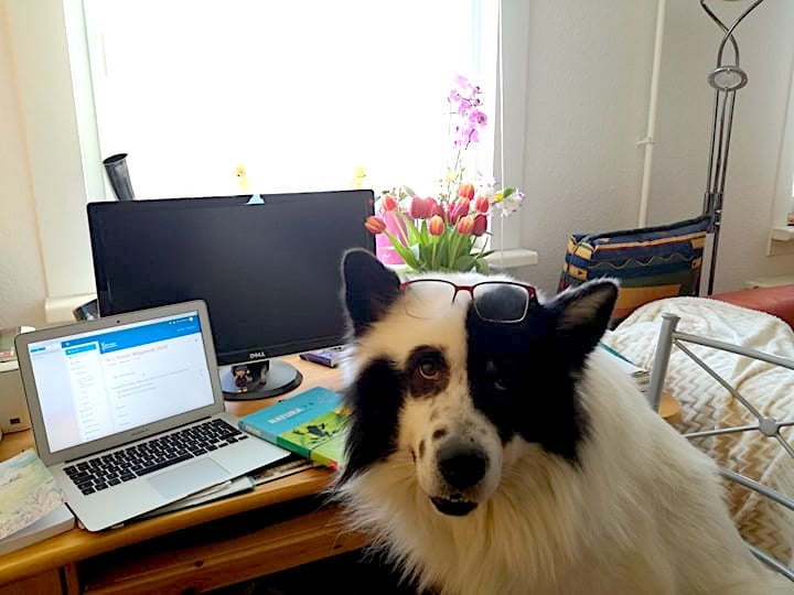 ONGwirbleibenzuHause – Fr. Wipprecht