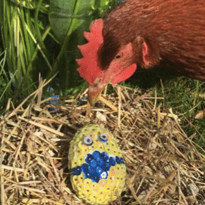 Osterei – Erwin, 8 Jahre