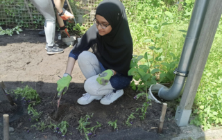Betriebspraktikum Schülerpraktikum 9. Klasse Jahrgang Treppenhaus Gartenarbeit Beete