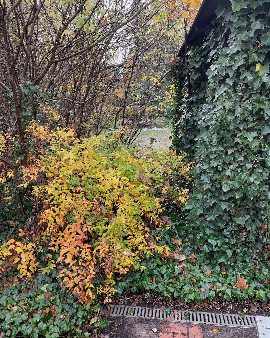 Gartenaktion Treppenhaus