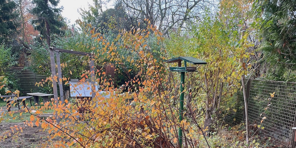 Gartenaktion Treppenhaus