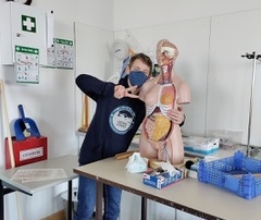 Herzen sezieren Experiment