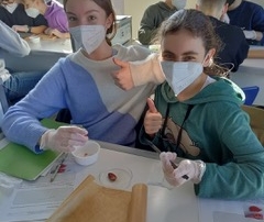 Herzen sezieren Experiment