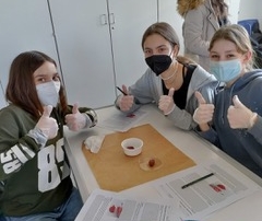 Herzen sezieren Experiment