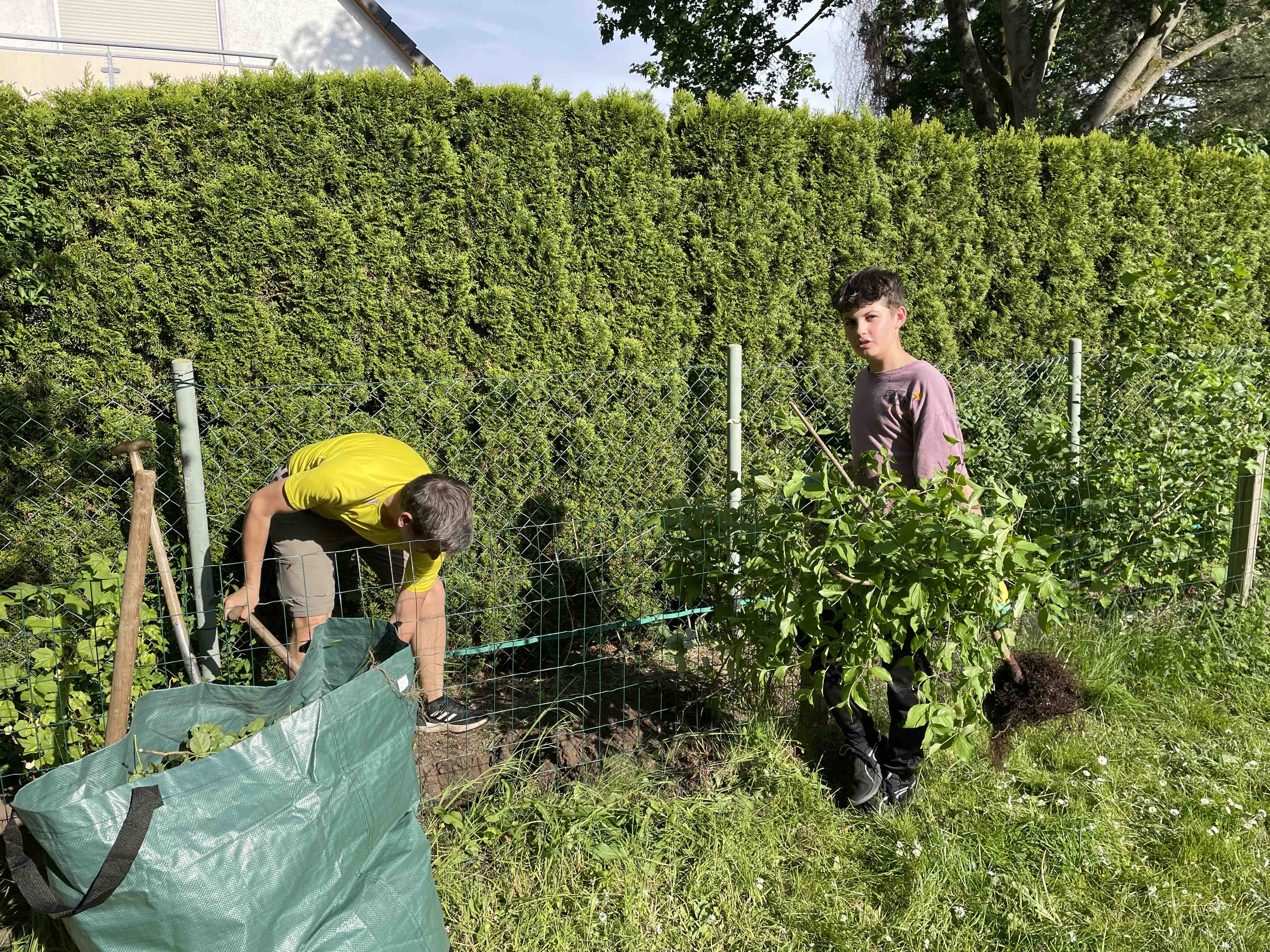 Garteninitiative2024_3