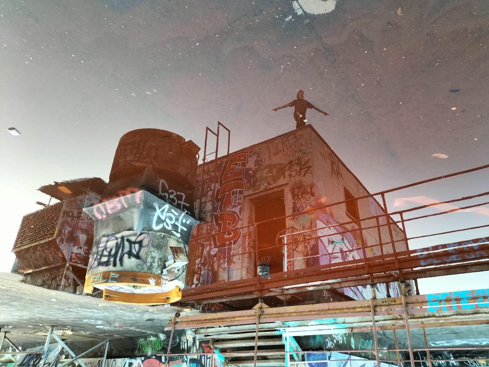 Blick zum Mond (Benita P., 9.5)