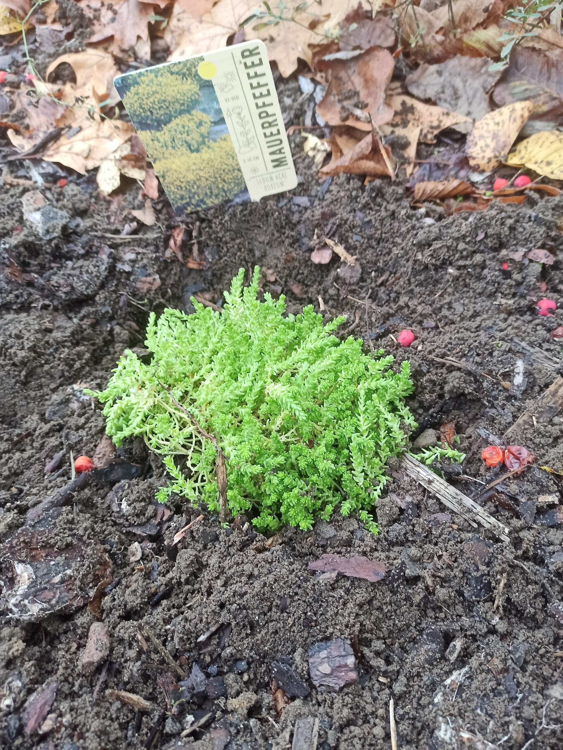 IG Grünwerkstatt_01