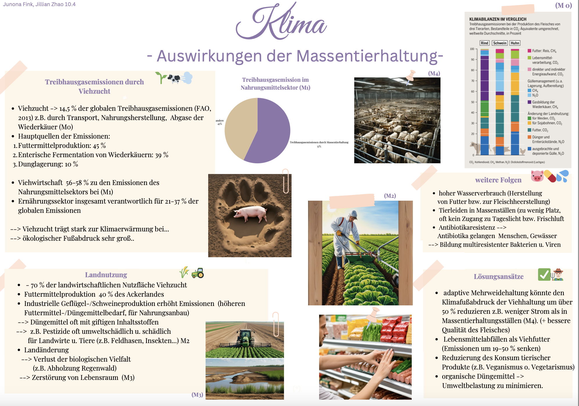 Plakat Massentierhaltung Ethik